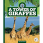 A Tower of Giraffes - Library Binding