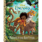 Mystery in the Rain Forest (Disney Encanto) - Hardcover