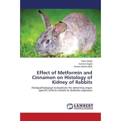 Effect of Metformin and Cinnamon on Histology of Kidney of Rabbits - Paperback