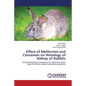 Effect of Metformin and Cinnamon on Histology of Kidney of Rabbits - Paperback