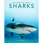 Sharks: Amazing Pictures & Fun Facts on Animals in Nature - Paperback