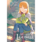In the Land of Leadale, Vol. 3 (Manga) - Paperback