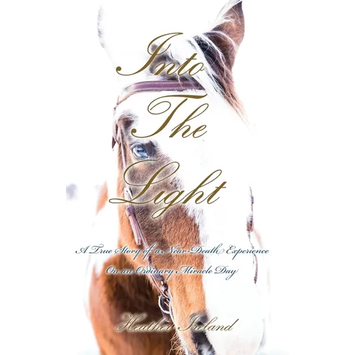 Into The Light: A True Story of a Near-Death Experience on An Ordinary Miracle Day - Hardcover