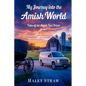 My Journey into the Amish World - Paperback