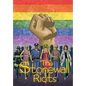 Stonewall Riots - Paperback