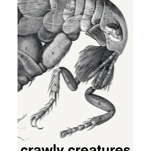 Crawly Creatures: Depiction and Appreciation of Insects and Other Critters in Art and Science - Paperback