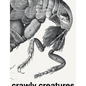 Crawly Creatures: Depiction and Appreciation of Insects and Other Critters in Art and Science - Paperback