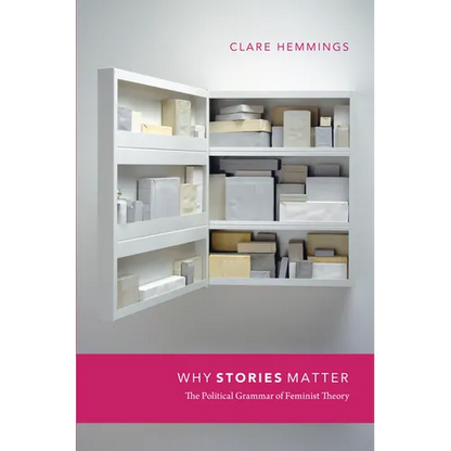 Why Stories Matter: The Political Grammar of Feminist Theory - Paperback
