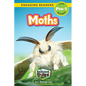 Moths: Backyard Bugs and Creepy-Crawlies (Engaging Readers, Level Pre-1) - Paperback