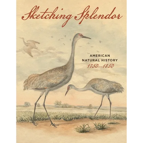 Sketching Splendor: American Natural History, 1750-1850 - Paperback