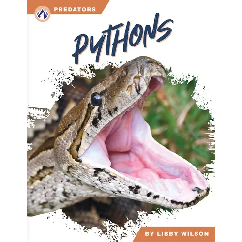 Pythons - Paperback
