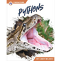 Pythons - Paperback