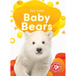 Baby Bears - Paperback
