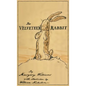 The Velveteen Rabbit: Facsimile of the Original 1922 Edition - Hardcover