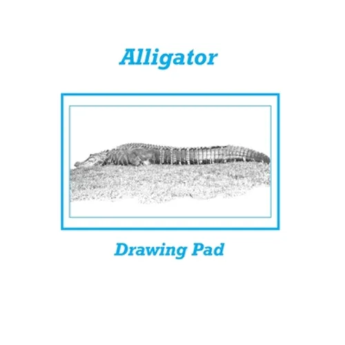 Alligator Drawing Pad - Paperback