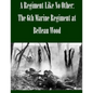 A Regiment Like No Other: The 6th Marine Regiment at Belleau Wood - Paperback