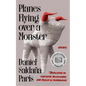 Planes Flying Over a Monster: Essays - Paperback