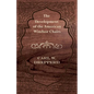 The Development of the American Windsor Chairs - Paperback