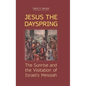 Jesus the Dayspring: The Sunrise and the Visitation of Israel's Messiah - Hardcover