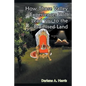 How Those Valley Experiences Will Lead You to the Promised Land - Paperback