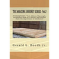 THE AMAZING JOURNEY SERIES- Vol.2: "FOUNDATIONS: "God delivers His people, establishes them as a nation, and teaches them the importance of obedience? - Paperback