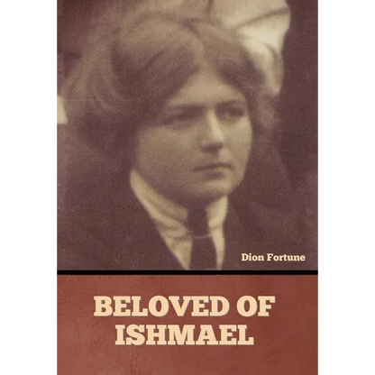 Beloved of Ishmael - Hardcover