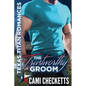 The Trustworthy Groom - Paperback