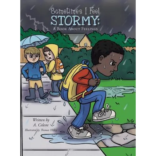 Sometimes I Feel Stormy: A Book About Feelings - Hardcover
