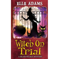 Witch on Trial - Paperback