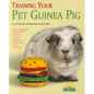 Training Your Pet Guinea Pig - Paperback