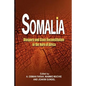 Somalia: Diaspora and State Reconstitution in the Horn of Africa - Paperback