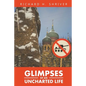 Glimpses of an Uncharted Life: The Empire Collapsed, but the Evil Remained - Paperback