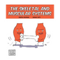 Skeletal and Muscular Systems - Paperback