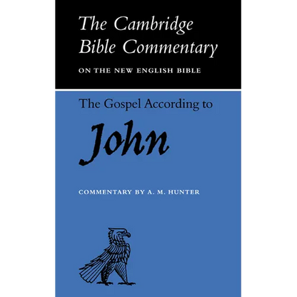 The Gospel According to John - Paperback