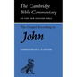 The Gospel According to John - Paperback
