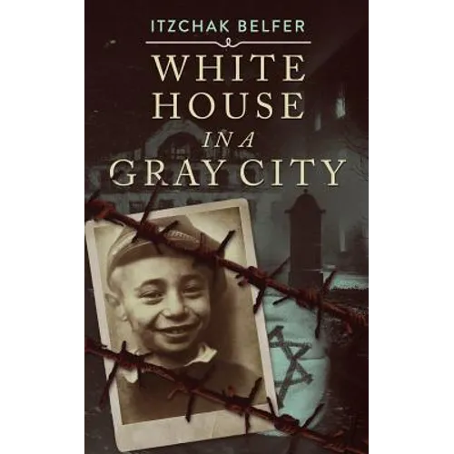 White House in a Gray City - Paperback