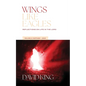 Wings Like Eagles: Reflections on Life in the Lord Vol. 4: Matthew-John - Paperback