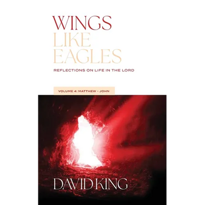 Wings Like Eagles: Reflections on Life in the Lord Vol. 4: Matthew-John - Paperback