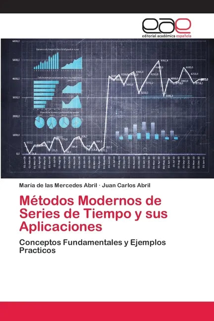 Métodos Modernos de Series de Tiempo y sus Aplicaciones - Paperback