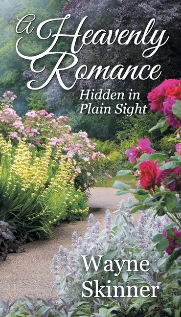A Heavenly Romance: Hidden in Plain Sight - Paperback