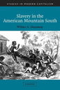 Slavery in the American Mountain South - Paperback