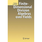 Finite-Dimensional Division Algebras Over Fields - Hardcover