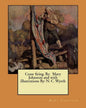 Cease firing. By: Mary Johnston and with illustrations By: N. C. Wyeth - Paperback