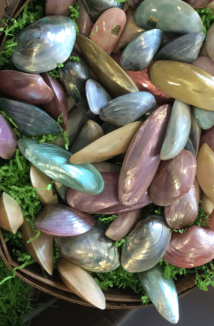 Easter Egg Shell- Polished Dyed Pastel Pearl Clams