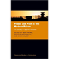 Power and Pain in the Modern Prison: The Society of Captives Revisited - Hardcover