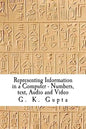 Representing Information in a Computer: Numbers, Text, Audio and Video - Paperback