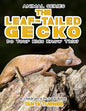 THE LEAF-TAILED GECKO Do Your Kids Know This?: A Children's Picture Book - Paperback