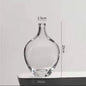 Big Glass Vase Living Room Dried Flowers Nordic Ins Style Glass