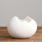 Eggshell Living Room Ceramic Hydroponic Vase Pot Desktop Flower Small And Simple Indoor Green Dill