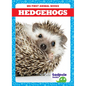 Hedgehogs - Paperback